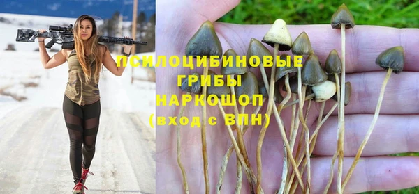 соль ск Алексеевка