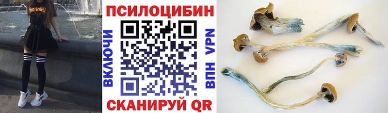 Галлюциногенные грибы Psilocybine cubensis  Калязин 